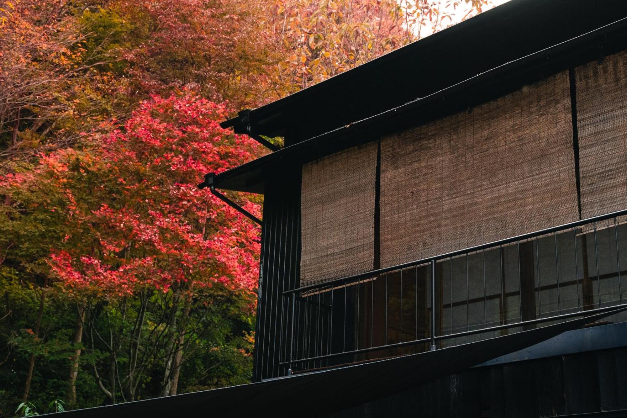 Mysa Hakone Villa Ngoại thất bức ảnh